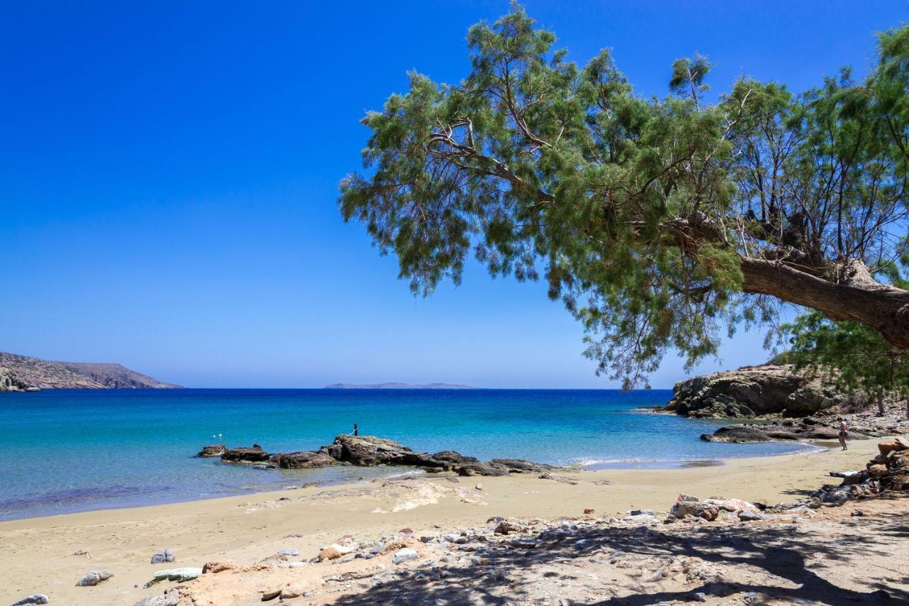 Holiday home Aggel's House - Stone House - Private Pool - Courtyard - Countryside Views Kato Episkopi