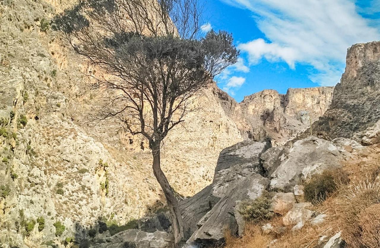 Aggel's House - Stone House - Private Pool - Courtyard - Countryside Views Kato Episkopi