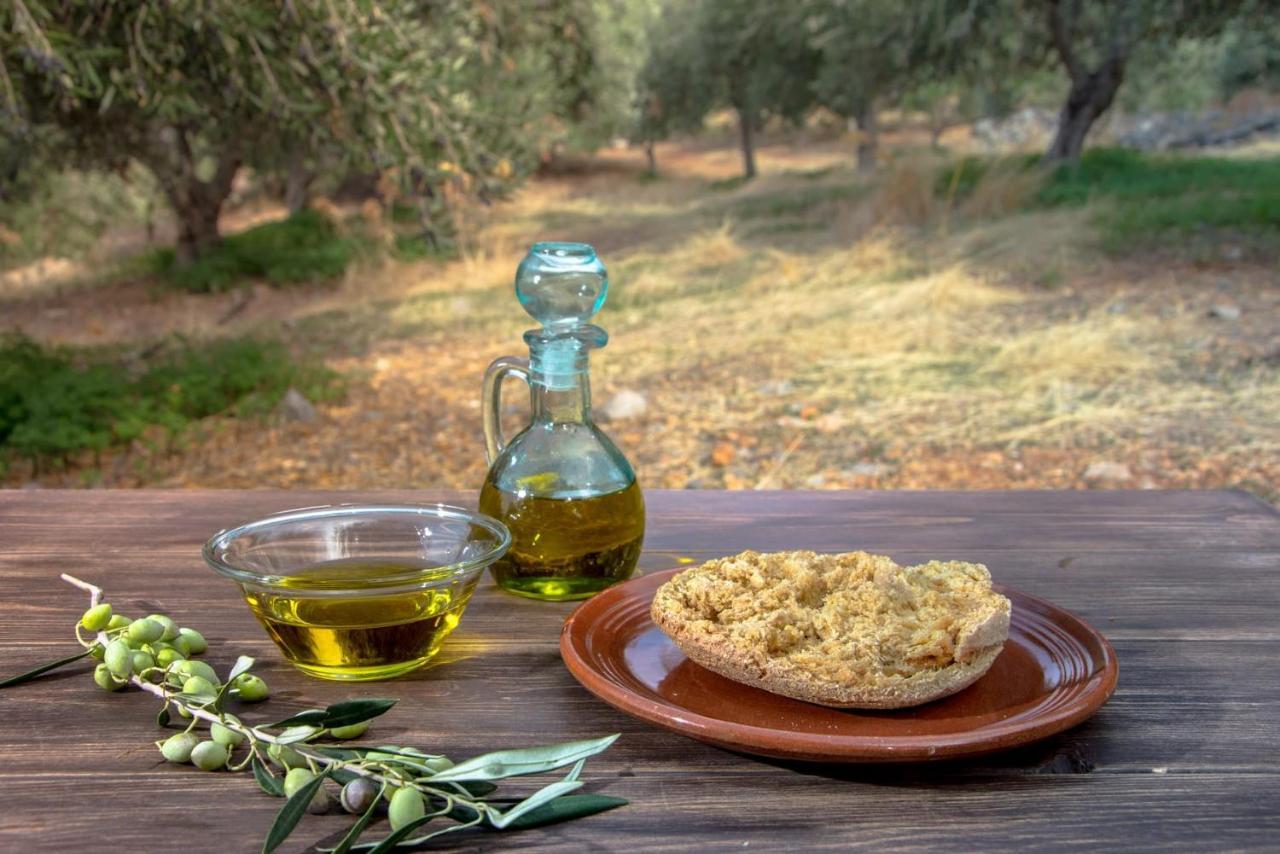 Aggel's House - Stone House - Private Pool - Courtyard - Countryside Views * Kato Episkopi