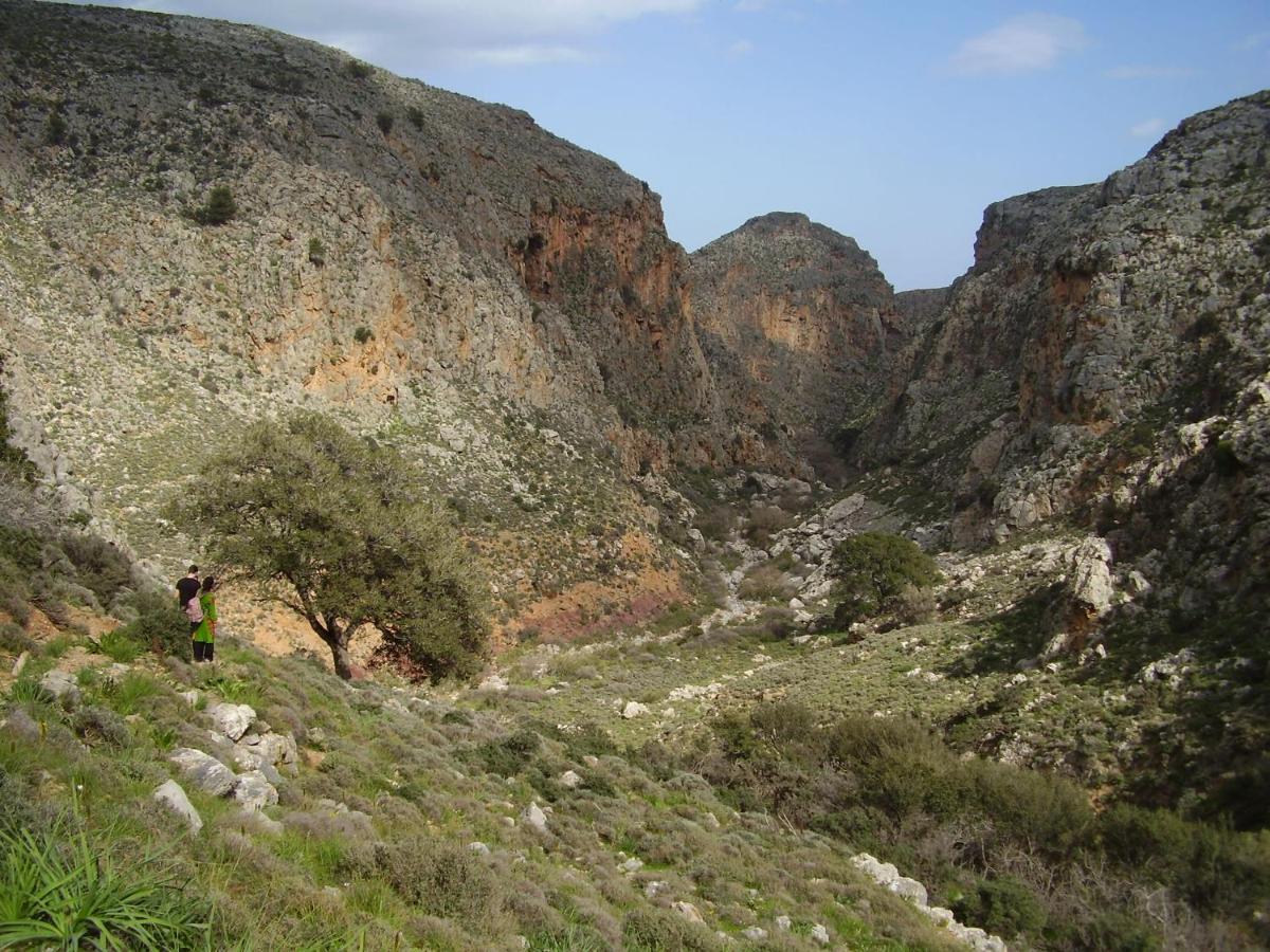 Aggel's House - Stone House - Private Pool - Courtyard - Countryside Views Holiday home Kato Episkopi