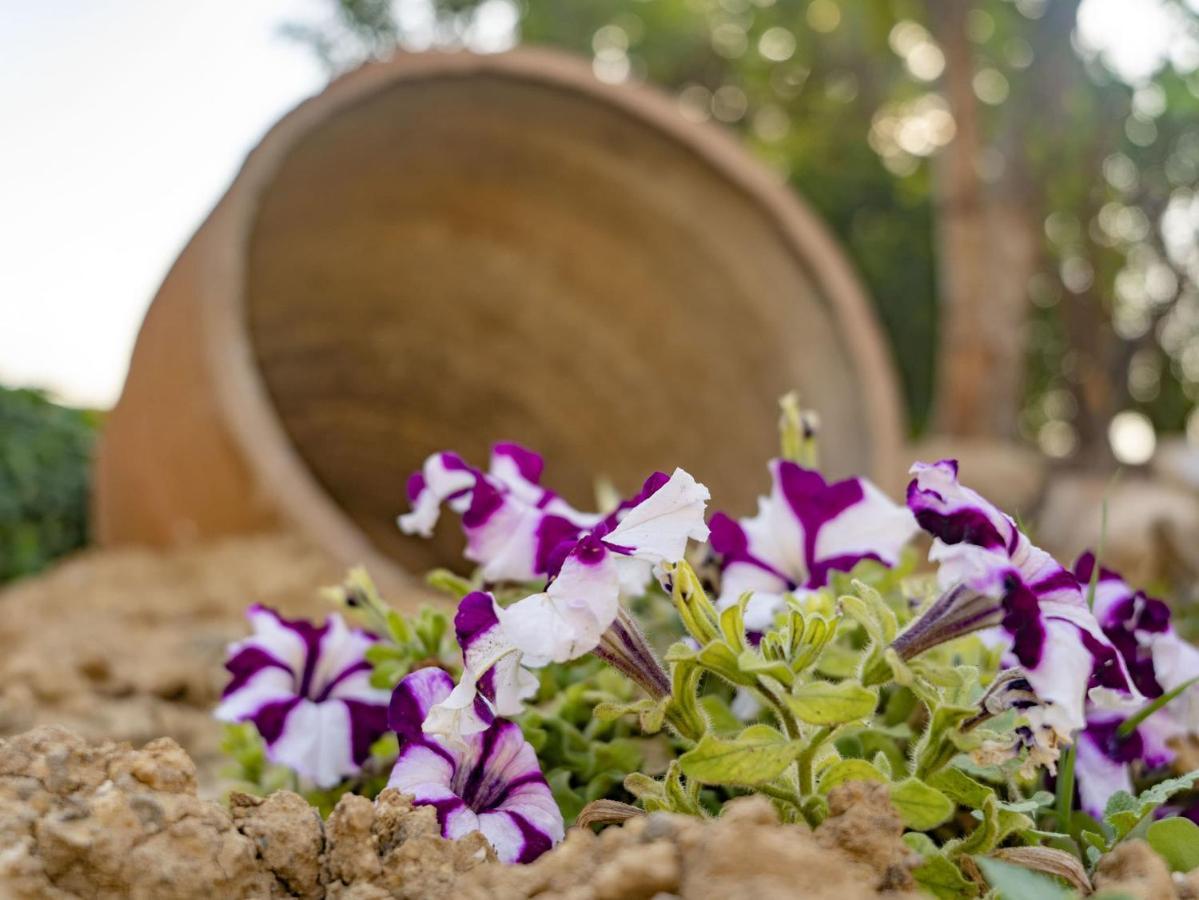 Aggel's House - Stone House - Private Pool - Courtyard - Countryside Views * Kato Episkopi